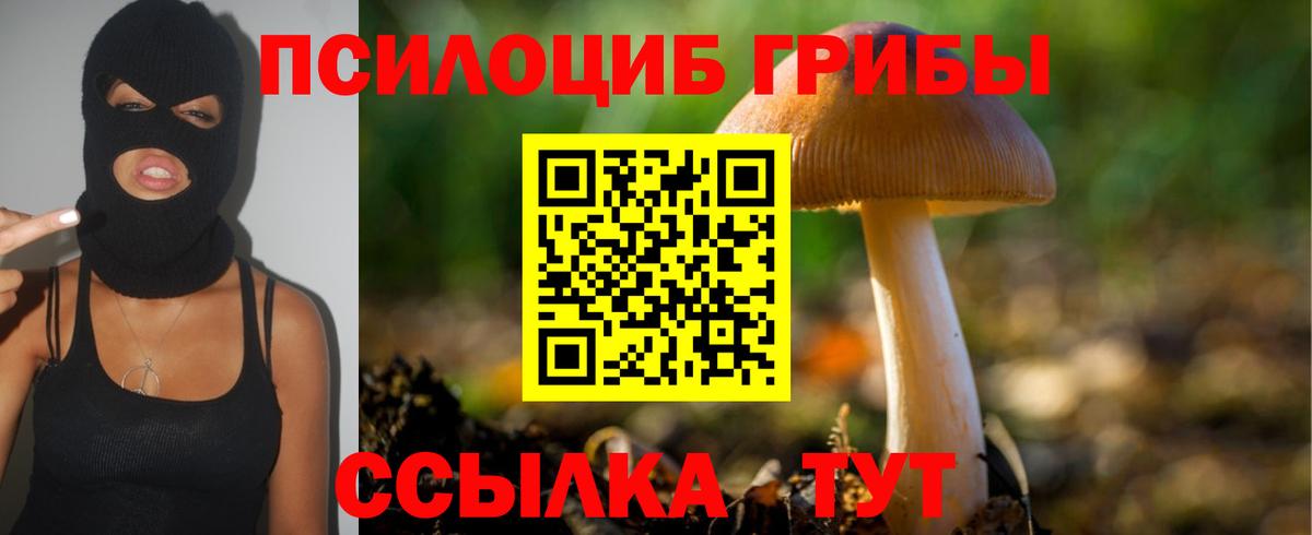 Галлюциногенные грибы прущие грибы Уссурийск